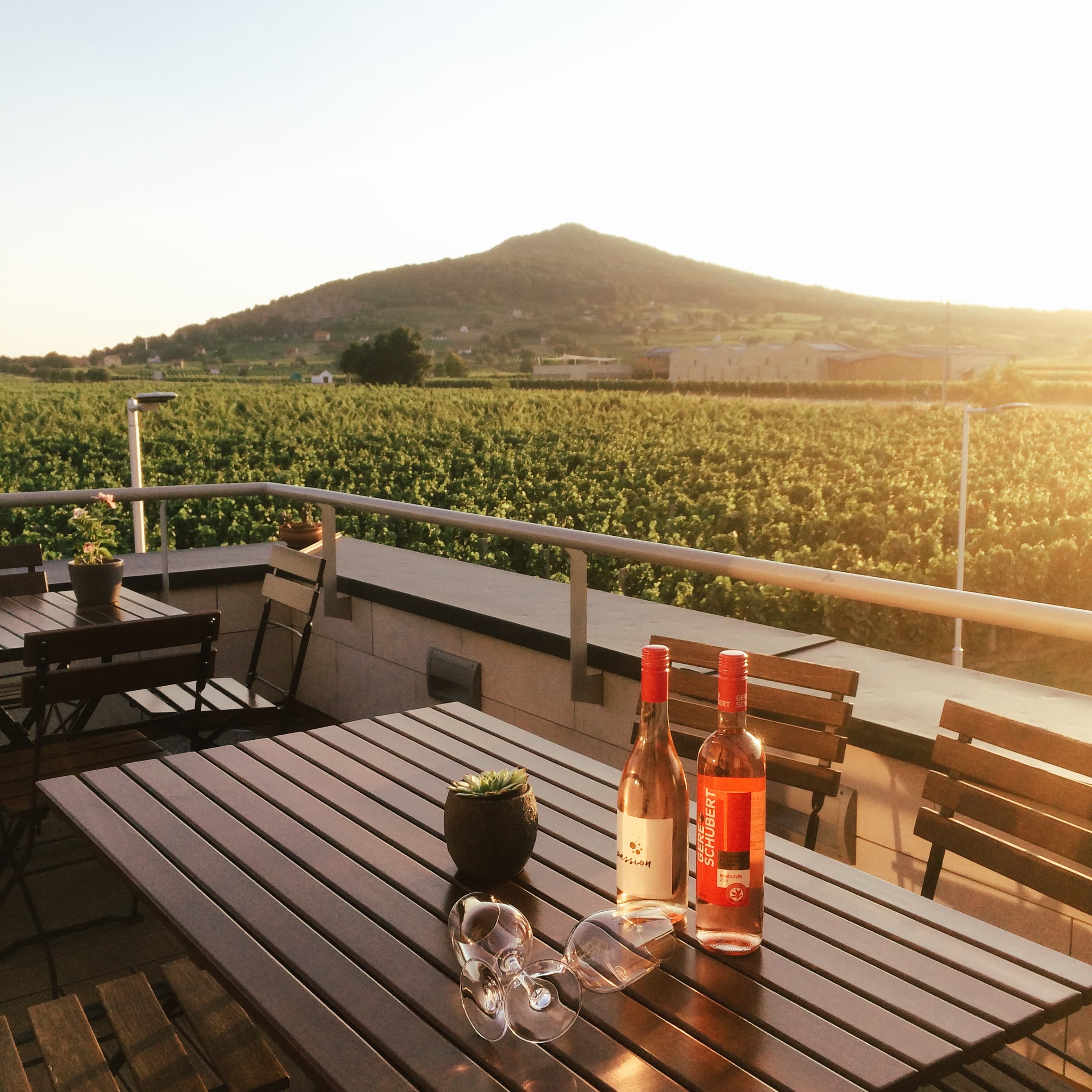 gere schubert rosé villány